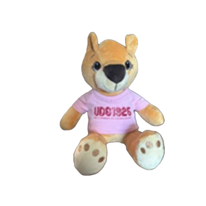 Muñeco de peluche leona conmemorativo playera rosa
